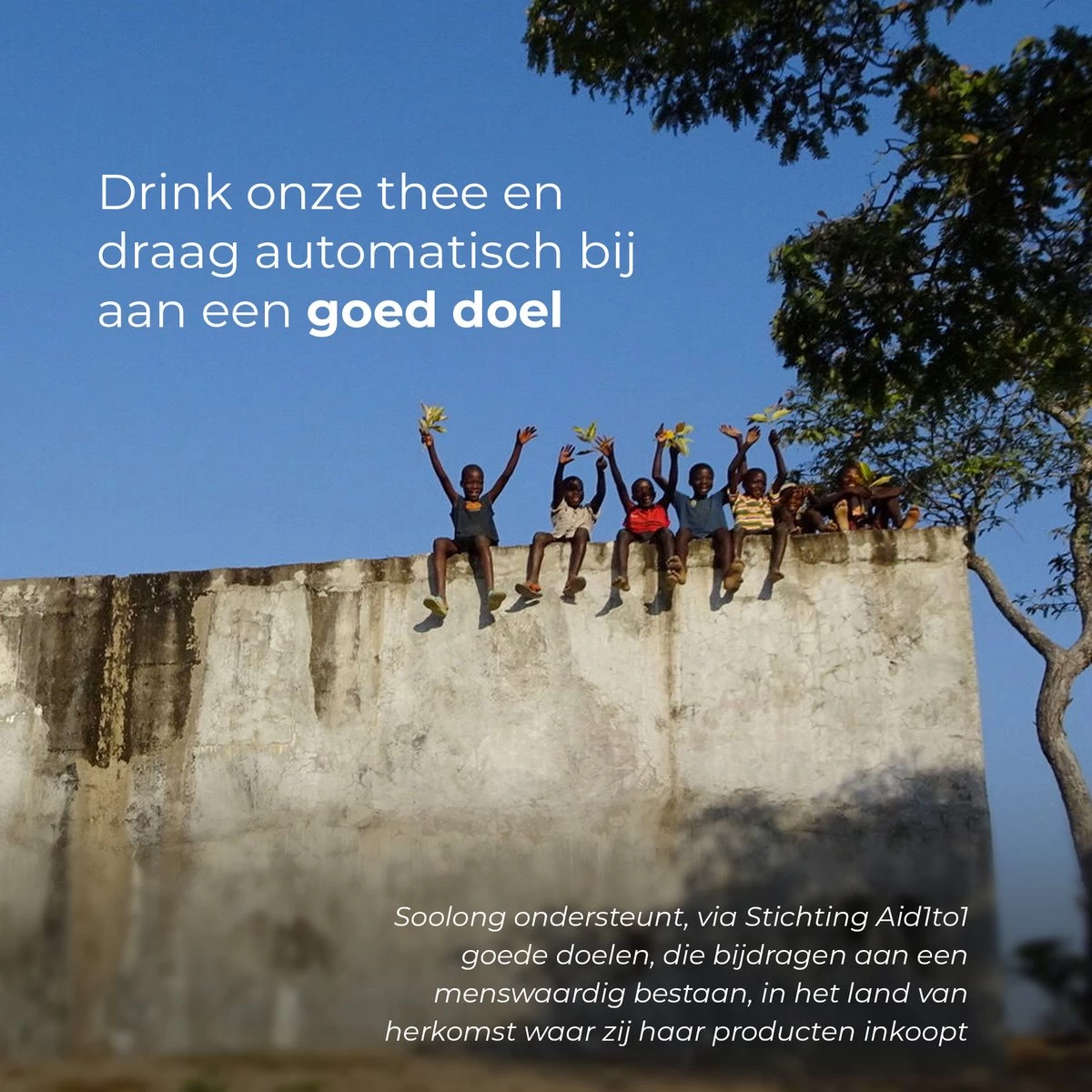 Soolong Teamaker - Theemaker - Theepot - Ice Tea Maker- 400ml - 1stuks - Afbeelding 2