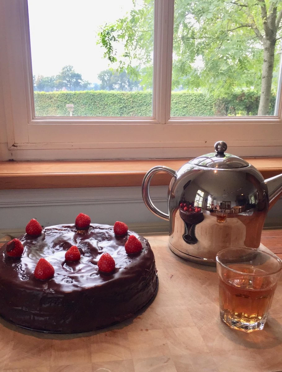 Bredemeijer - Theepot Minuet Santhee 0,5L Glanzend Dubbelwandig - Afbeelding 8